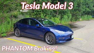 Tesla Model 3 PHANTOM Braking... What It Really Is