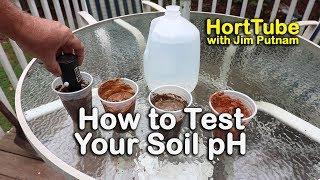 How to Test Your Soil pH - My Yard Needs Lime in the Worst Way