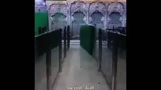 زیارت حرم امام حسین (ع) از راه دور