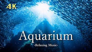 【アクアリウム 4K】美しい海の中のお魚・サンゴを眺める水族館｜高画質・リラックスピアノ音楽｜Aquarium UHD