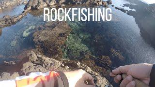 EXCURSION FOLLE dans les ROCHERS / ROCKFISHING ULTRA-ULTRA LIGHT / Ile de la Réunion 974