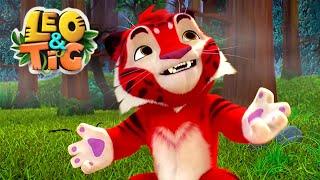 Leo and Tig  New compilation online  Funny Family Good Animated Cartoon for Kids