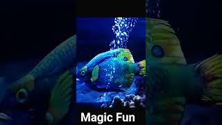 Fish Magic || Magic On The Sea Fish || American Magic