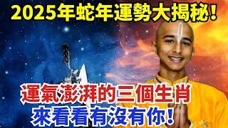 2025年蛇年運勢大揭秘！運氣澎湃的三個生肖，來看看有沒有你！【一浮國學】#花好月圓 #一禪語 #智者思維 #信不信由你 #般若明燈 #佛與禪心 #第三雙眼睛 #小諸葛風水