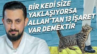 Bir Kedi Size Yaklaşıyorsa Allah'tan 13 İşaret Var Demektir -Nakış Aynası| Mehmet Yıldız@hayalhanem