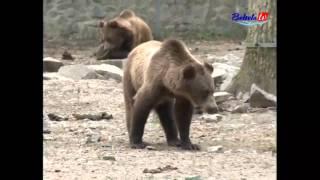 Hoinar in Vest - Zoo Timisoara