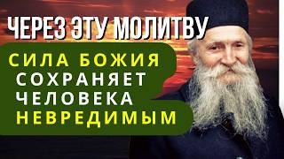 ЭТО СРЕДСТВО ПОЛЕЗНЕЕ УСПОКОИТЕЛЬНЫХ ТАБЛЕТОК! - Фаддей Витовницкий