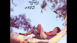 מאיר אריאל - ארול