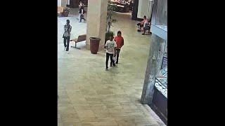 Clarksville police looking for suspects in robbery at mall