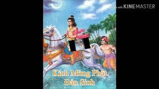  HQ KÍNH MỪNG ĐẠI LỄ ĐỨC PHẬT ĐẢN SANH.PL 2564-PL 2020. (Vd04)