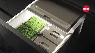 HAILO Micro Garden - Microgreens that grow all year round