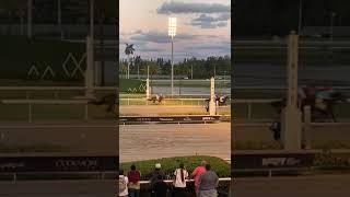 Finish Line of Horse Racing in Miami at the Gulfstream Park, Hallandale Beach, Fl.