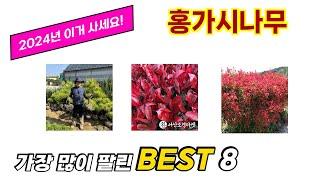 홍가시나무 추천 TOP 8 가격, 구매평, 구입처 정보