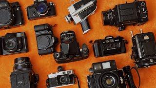 My Film Camera Collection in 2024
