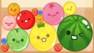 Watermelon Game All Fruits - New Fruit Try to Get: Suika Game 2 Watermelons