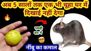 बिना दवाई नींबू से चूहे भगाने का घरेलू तरीका  rid of mouse/ chuhe bhagane ka tarika/kitchen tips