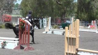 2011-2012 IEL Show Season - Show #4 Lindsay Palmer Novice Working Hunter