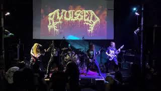 Avulsed  @Ciudad Frecuencia (Medellín, Colombia)
