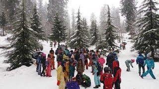 Manali Winter | Snowfall Video | Adventure Activities At Solang Valley | Monal Adventure