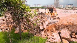 Amazing Work! Mountain Stones Delivery To Filling Up Huge Area By Dump Trucks And Bulldozers Team