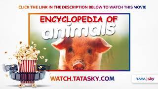 Watch Full Movie - Encyclopedia of Animals