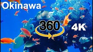 [VR 360° 4K] 沖縄ダイビング - Khám Phá Đáy Biển Tại Okinawa Nhật Bản | Nhật Bản 360