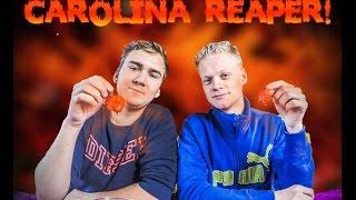 Rasmus, Matias og Carolina Reapere - Chilimus vs. Dalboe