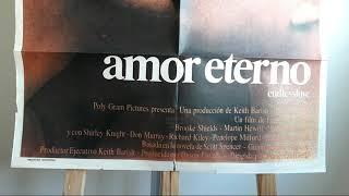 Afiche Poster Cine Amor Eterno Brooke Shields