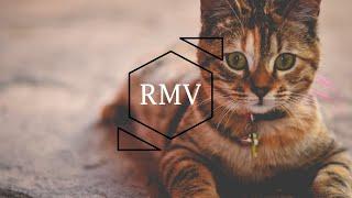 RMV - SUGAR COOKIE ᴴᴰ  (the official version) - Meoww 