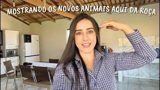 E temos novos animais aqui na roça