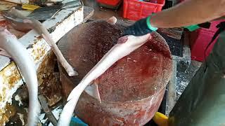 shark  fish cutting skills  Penang Georgetown Malaysia cecil wet market