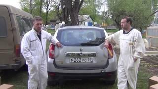 Продажа пчел и пчелопакетов КАРНИКА. СМОТРЕТЬ ДО КОНЦА!!!