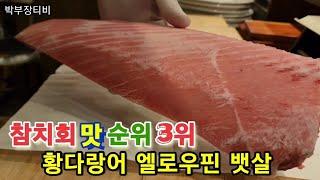 참치회에서 3번째로 맛있는 참치 황다랑어 [엘로우핀뱃살] Yellowfin tuna belly