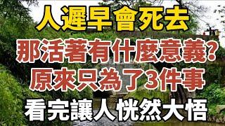 人老了，走不動了才懂得 ，人活著的意義，原來只是為了3件事！【中老年心語】#養老 #幸福#人生 #晚年幸福 #深夜#讀書 #養生 #佛 #為人處世#哲理