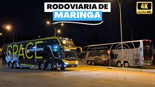 Movimentação de ônibus na Rodoviária de Maringá #8 | Viação Garcia, Expresso Nordeste e outras.