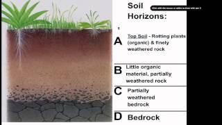 Soil Formation