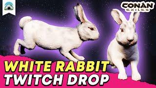 White Rabbit Twitch Drop: Unlock Your Rabbit Pet Follower - Age of Sorcery Chapter 3 | Conan Exiles