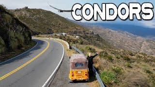 Driving Alongside Condors in the Mountains of Argentina!  | S1, EP31