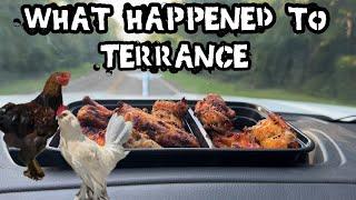 Terrance and Friends:  Better be Careful!!!