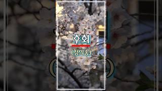누구나 들어도 편안한 목소리  정의송 후회 