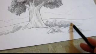 How To Draw A Tree in Landscape - Drawing Techniques