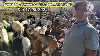 Feira de animais em Monteiro na Paraíba 17/08/2024