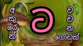 ' ට ' අකුරෙන් වචන | ට අකුර  #සිංහල හෝඩිය #sinhala alphabet  | අකුරු පාසල