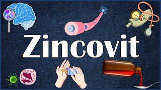 Zincovit Multivitamin :- Indications (Uses), Ingredients, Benefits & Risks, Drug Interactions
