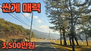 337. 싼게 매력  #밀양부동산 #밀양농막토지 #밀양토지