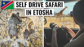 Self Drive Safari In Etosha National Park | Namibia Travel Vlog