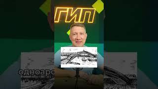 Не построенный мост Ивана Кулибина