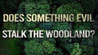 Truth Proof - Does Something Evil Stalk The Woodland?