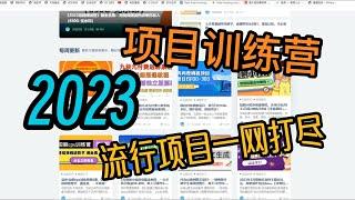 2023全网最新资源项目一网打尽，呈现最新的网络赚钱项目，抖音，TIKTOK，快手等应有尽有，最前言的项目训练基地：麦田资源网