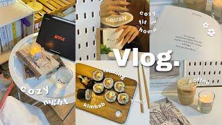 daily vlog : spend a cozy night with me,coffee time,making kimbab,reading,being a homebody